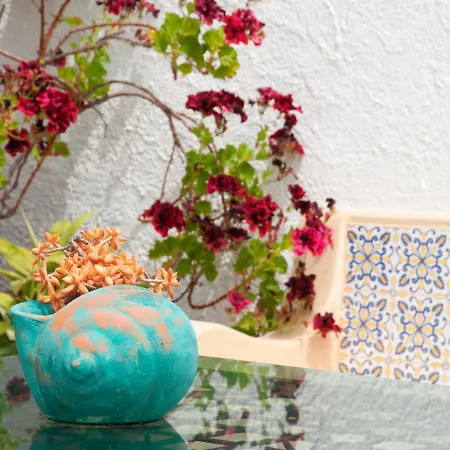 Turisticos Sollagos Lagos