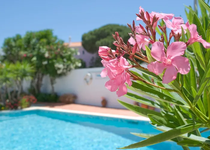 Turisticos Sollagos 公寓