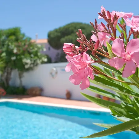 Turisticos Sollagos Lejlighed